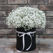Цветочная композиция из Гипсофила в шляпной коробке в Эндирее