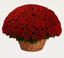 Премиум букет из: Розы в Эндирее